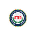 Digital marketing expert in Calicut | sted certificate